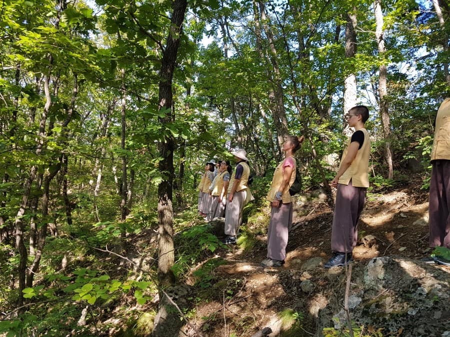 foret voyage zen meditation relax bien etre stress temple coree du sud